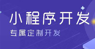 小程序定制開(kāi)發(fā)